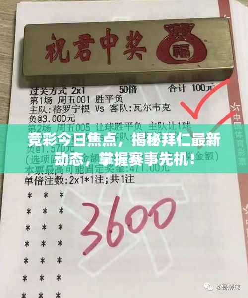 竞彩今日焦点,揭秘拜仁最新动态,掌握赛事先机!