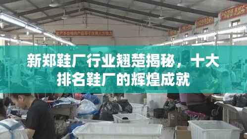 新郑鞋厂行业翘楚揭秘,十大排名鞋厂的辉煌成就