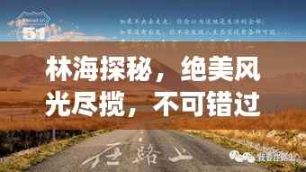 林海探秘,绝美风光尽揽,不可错过的旅行攻略!