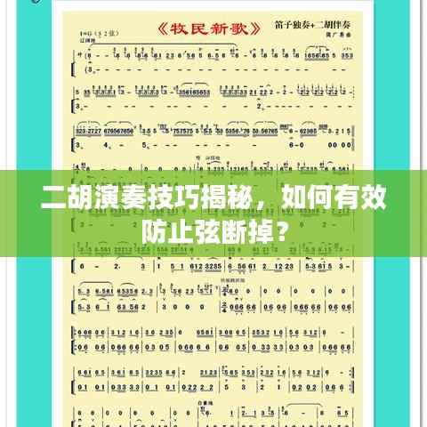 二胡演奏技巧揭秘,如何有效防止弦断掉?