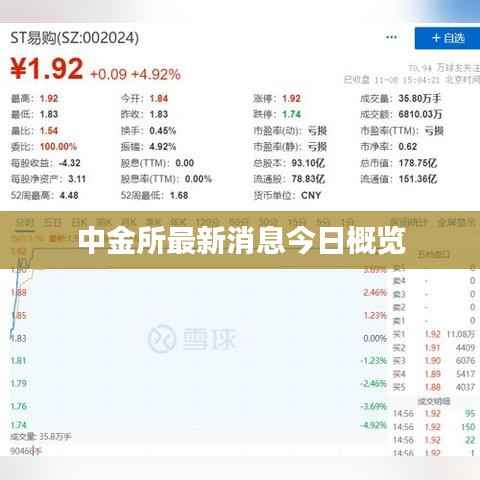 中金所最新消息今日概览