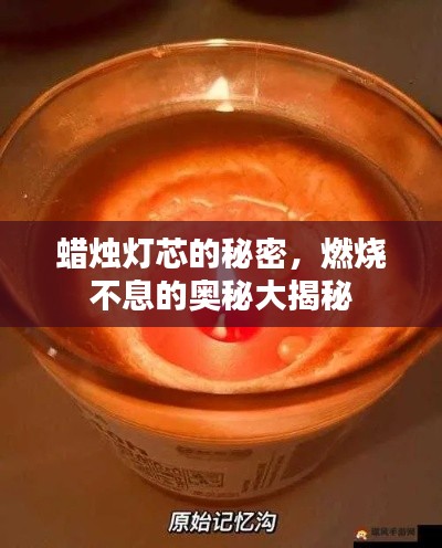 蜡烛灯芯的秘密,燃烧不息的奥秘大揭秘