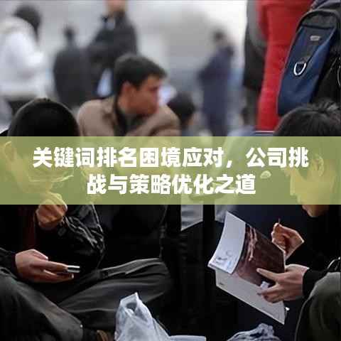 关键词排名困境应对,公司挑战与策略优化之道