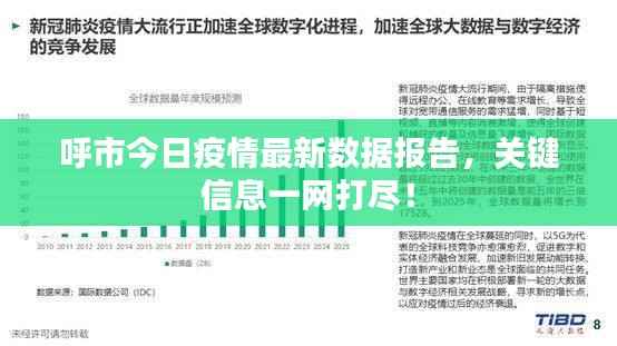 呼市今日疫情最新数据报告,关键信息一网打尽!