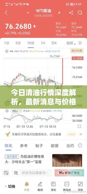 今日清油行情深度解析,最新消息与价格走势分析