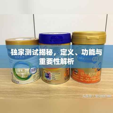 独家测试揭秘,定义、功能与重要性解析