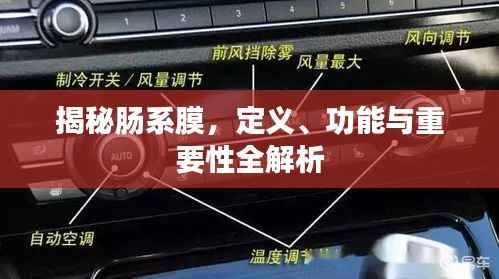 纡尊降贵 第2页