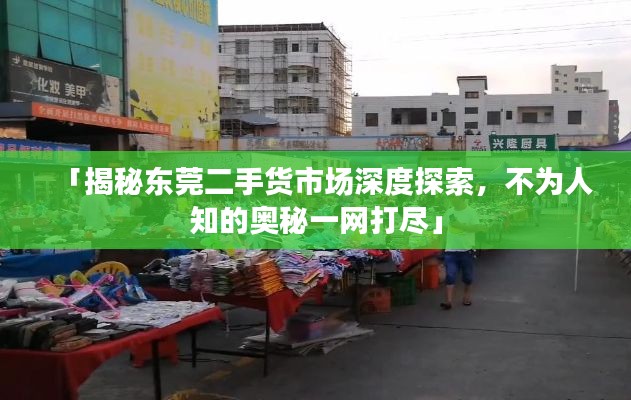 「揭秘东莞二手货市场深度探索,不为人知的奥秘一网打尽」