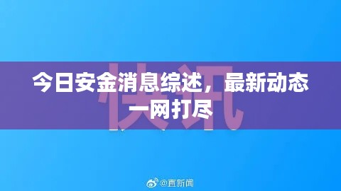 今日安金消息综述,最新动态一网打尽