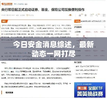 今日安金消息综述,最新动态一网打尽