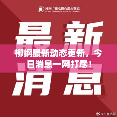 柳纲最新动态更新,今日消息一网打尽!