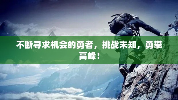 雍容尔雅 第2页