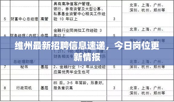 维州最新招聘信息速递,今日岗位更新情报