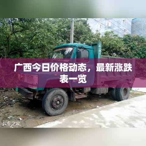 广西今日价格动态,最新涨跌表一览